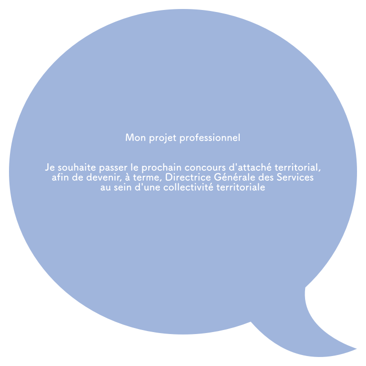 projetDIANE.png
